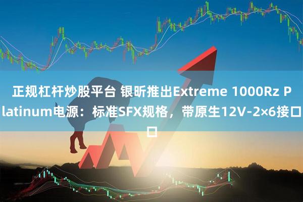 正规杠杆炒股平台 银昕推出Extreme 1000Rz Platinum电源：标准SFX规格，带原生12V-2×6接口