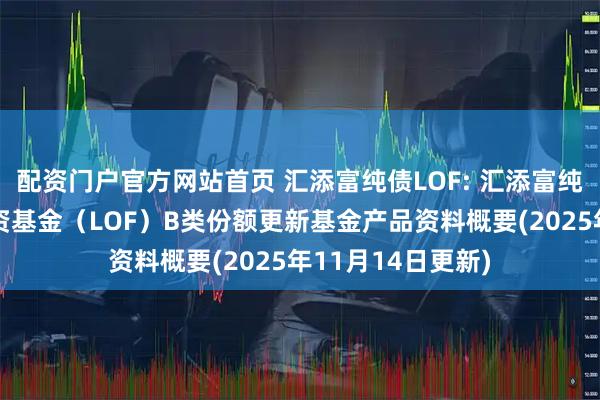 配资门户官方网站首页 汇添富纯债LOF: 汇添富纯债债券型证券投资基金（LOF）B类份额更新基金产品资料概要(2025年11月14日更新)