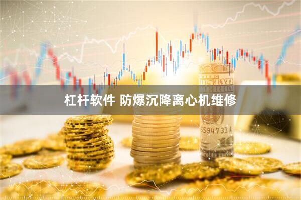 杠杆软件 防爆沉降离心机维修