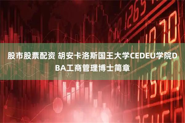 股市股票配资 胡安卡洛斯国王大学CEDEU学院DBA工商管理博士简章
